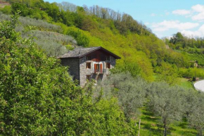fantastica villa fra le Alpi valtellinesi Tresivio